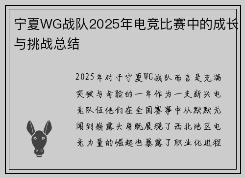 宁夏WG战队2025年电竞比赛中的成长与挑战总结